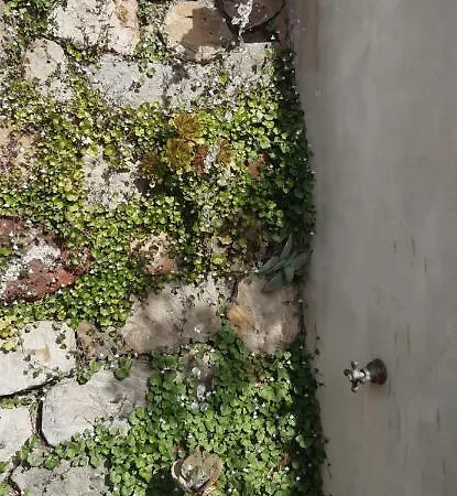 بيت للعطل Soprana, Casa Per Vacanze