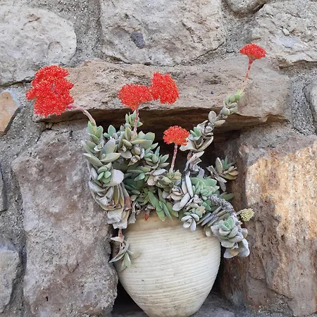 Soprana, Casa Per Vacanze *