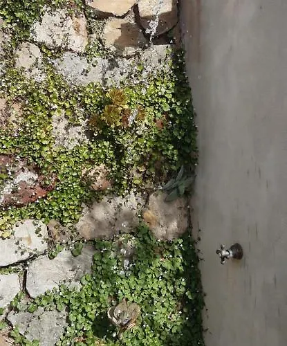 Holiday home Soprana, Casa Per Vacanze