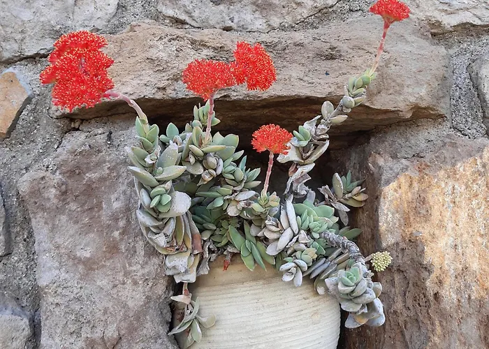 Soprana, Casa Per Vacanze *